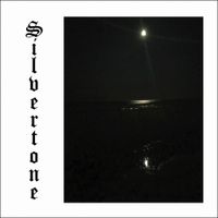 Mr. Husband - Silvertone