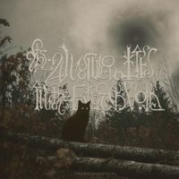 THE ANSWER LIES IN THE BLACK VOID - Transcendental