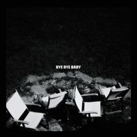 The Academic - Bye Bye Baby