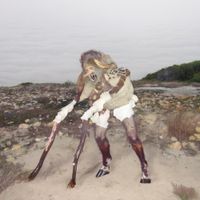 Grumpy - Piebald