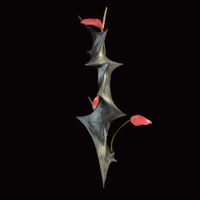 Chris Williams - Odu: Vibrations II