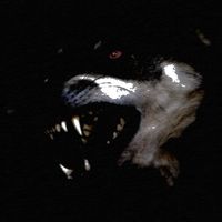 Knell - 4