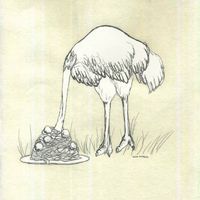 Duncecap - Generally Sad Songs
