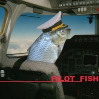 Pilot Fish - Crush