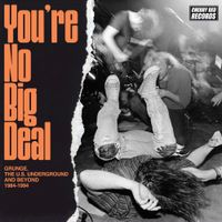 Various Artists - You're No Big Deal: Grunge, The U.S. Underground and Beyond 1984-1994