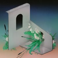 Atoloi - Inflorescenze