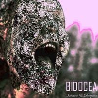 Bidocea - Isolation & Deception