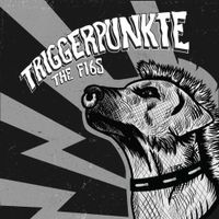 The F16s - Triggerpunkte