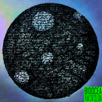 Bidocea - PLANK STAR COLLISION