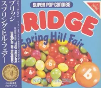 Bridge - Spring Hill Fair