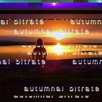 desert sand feels warm at night - Autumnal Bitrate