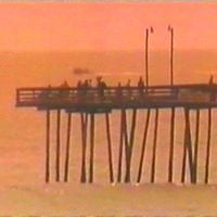 猫 シ Corp. - Good Morning America