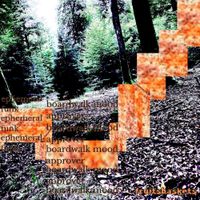 fruitsbaskets - Boardwalk Mood Approver / Ephemeral Funk