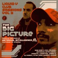 Artificial Intelligence - Liquid V Club Sessions Vol 2 - The Big Picture