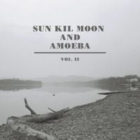 Sun Kil Moon - Sun Kil Moon and Amoeba, Vol. II