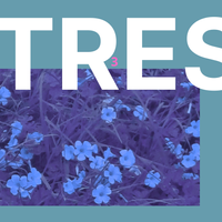 N3O - TRES