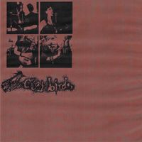 Clay Birds - living to tell the tale