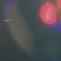 Outside - Almost Out