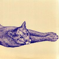 Koen Holtkamp - Field Rituals