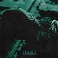 Jady - Fragile