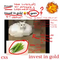 CXS - Balsamic Vinegar
