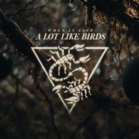 A Lot Like Birds - When In Love