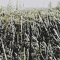 Pr&oacute;chno - Pr&oacute;chno