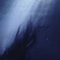 Danny L Harle - Azimuth