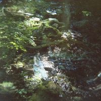 Jess Urwiler - roots