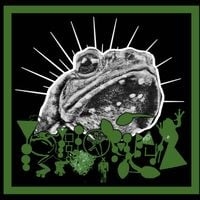 Phyllomedusa - Deep Fried Tinnitus
