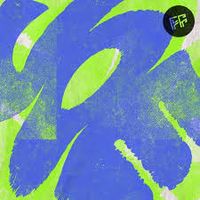 Fickle Friends - Joe
