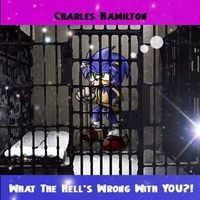 Charles Hamilton - What The Hell's Wrong With You