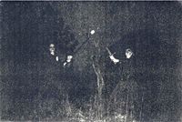 Wolfsmond - Demo 1