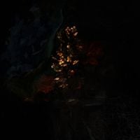 death's dynamic shroud - Still Life+