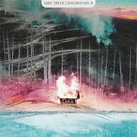 Lost Trees - Hallucinate II