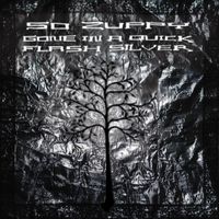 So Zuppy - Gone in a Quick Flash Silver