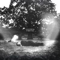 Man-Made Sunshine - I Have More Than One Soul