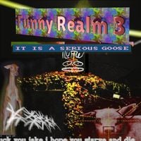 I'm letting unseen forces take the wheel - Funny Realm 3: It Is A Serious Goose