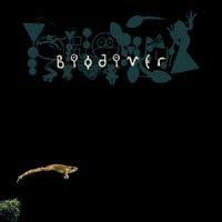 Phyllomedusa - Biodiver