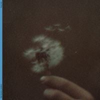 The Band CAMINO - 12:34