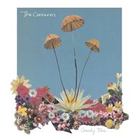 The Concerns - County Blue