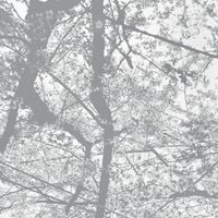 Black Rain - Obliteration Bliss