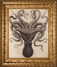 Nicolas Carras - Ernst Haeckel / Octopus / Sound Art / Art Sonore