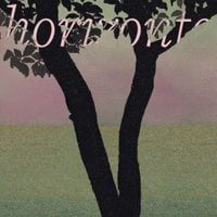 Funcion&aacute;rio - Horizonte