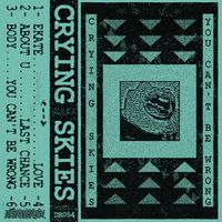Crying Skies - You Can't Be Wrong