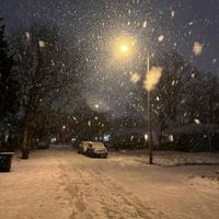 overtonight - snow day.