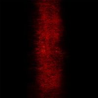 Paul Jebanasam - Rites