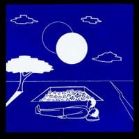American Pleasure Club - I Blew on a Dandelion and the Whole World Disappeared
