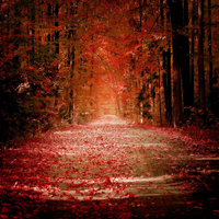 Charles Hamilton - Autumn Holocaust