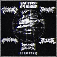 PeelingFlesh - Snuffed On Sight / PeelingFlesh / Sanity Slip / Tribal Gaze / Ballista / Amnesia Garden